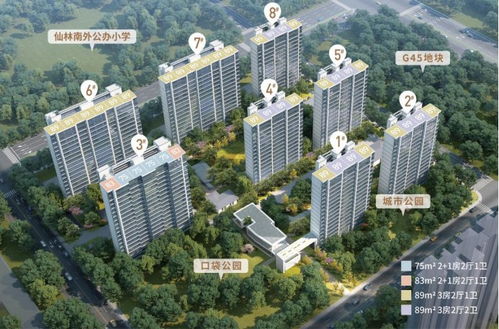 2023年南京取消限购，金鹰置业投资价值如何？